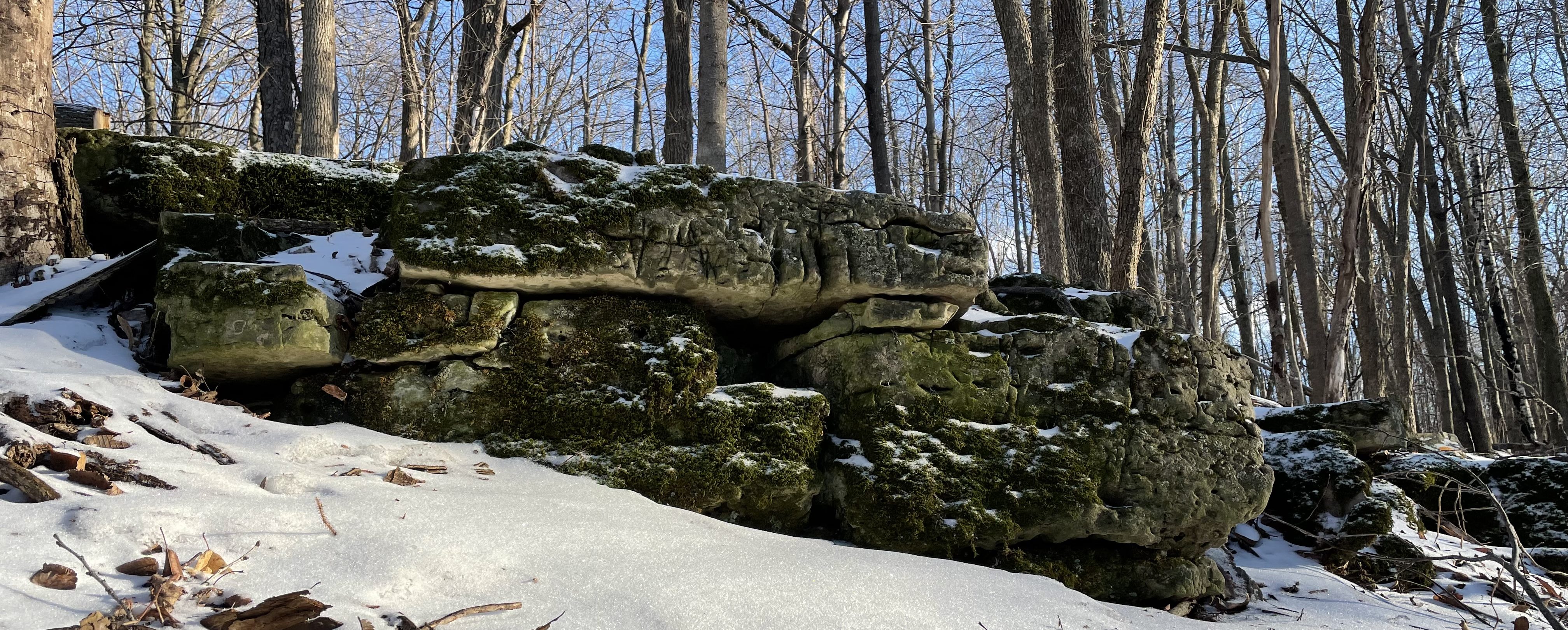 Wide view of the limestone ledge rock outcrop along the Niagara Escarpment at Kay's Ledge